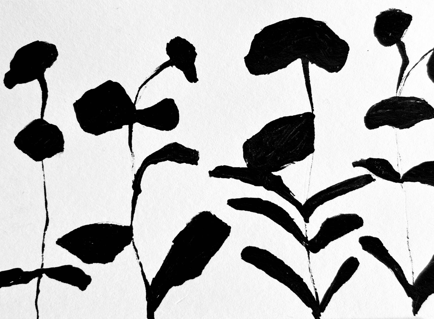New Growth
