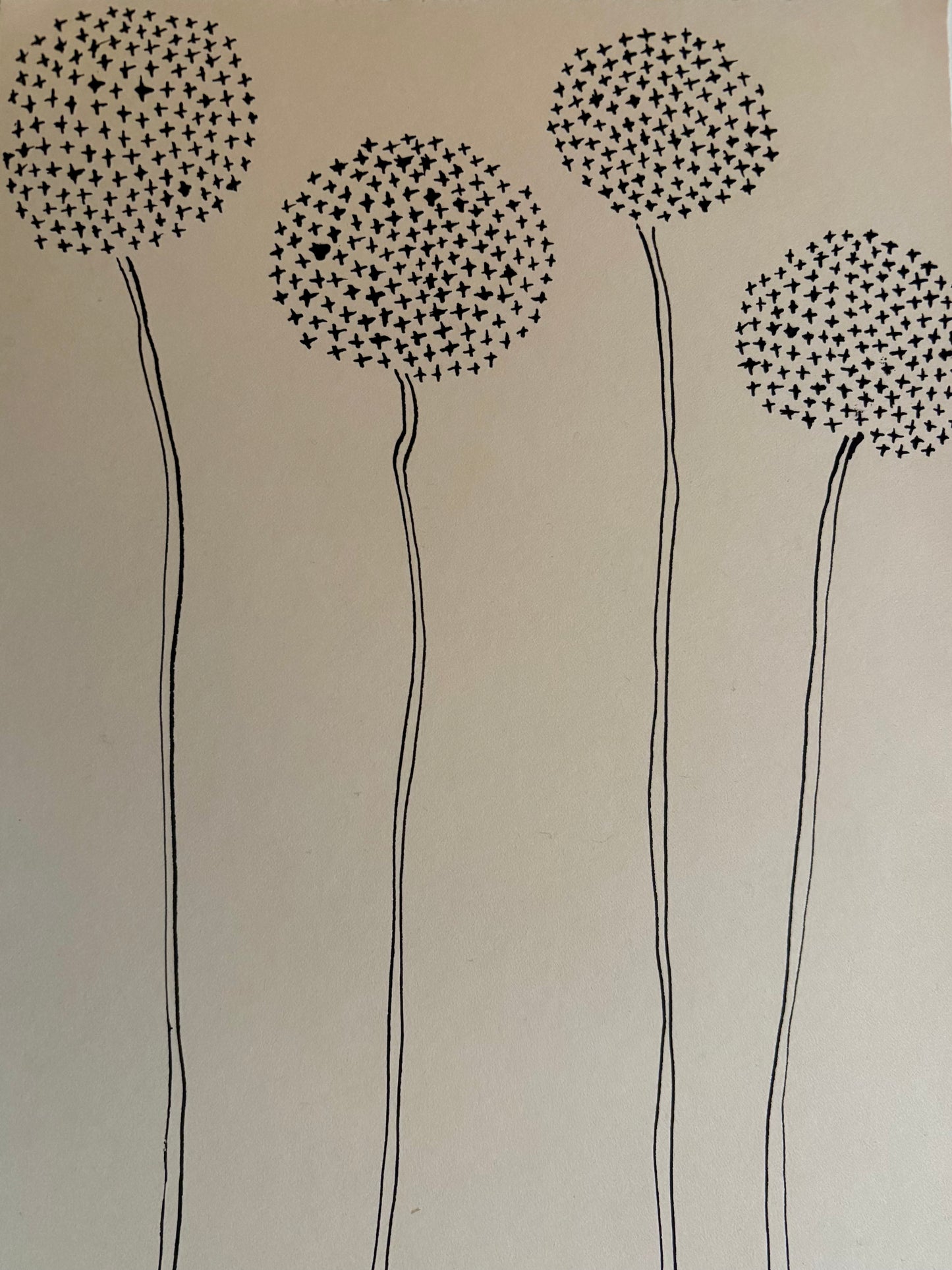 Giant Allium