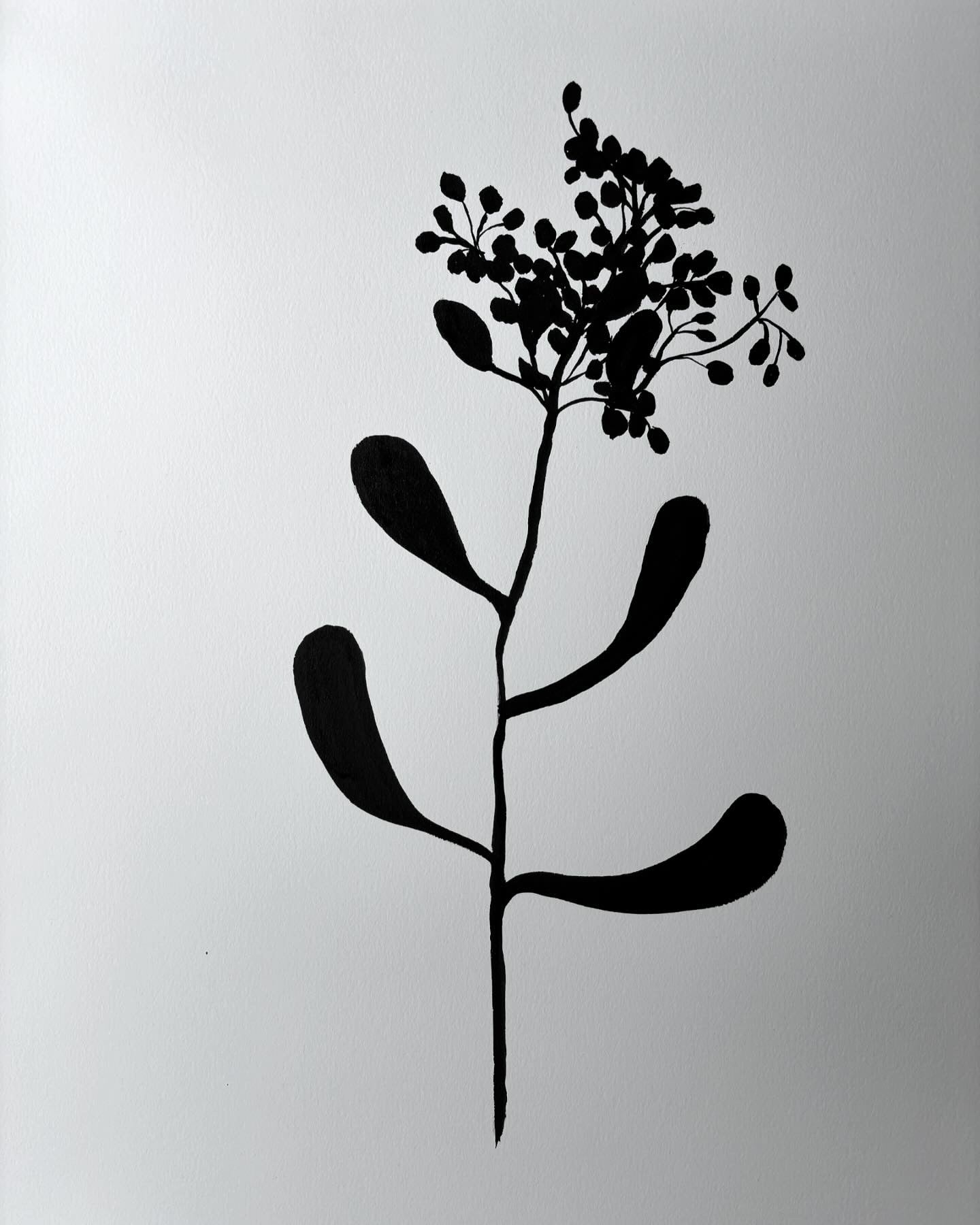 From the Wild - Botanical