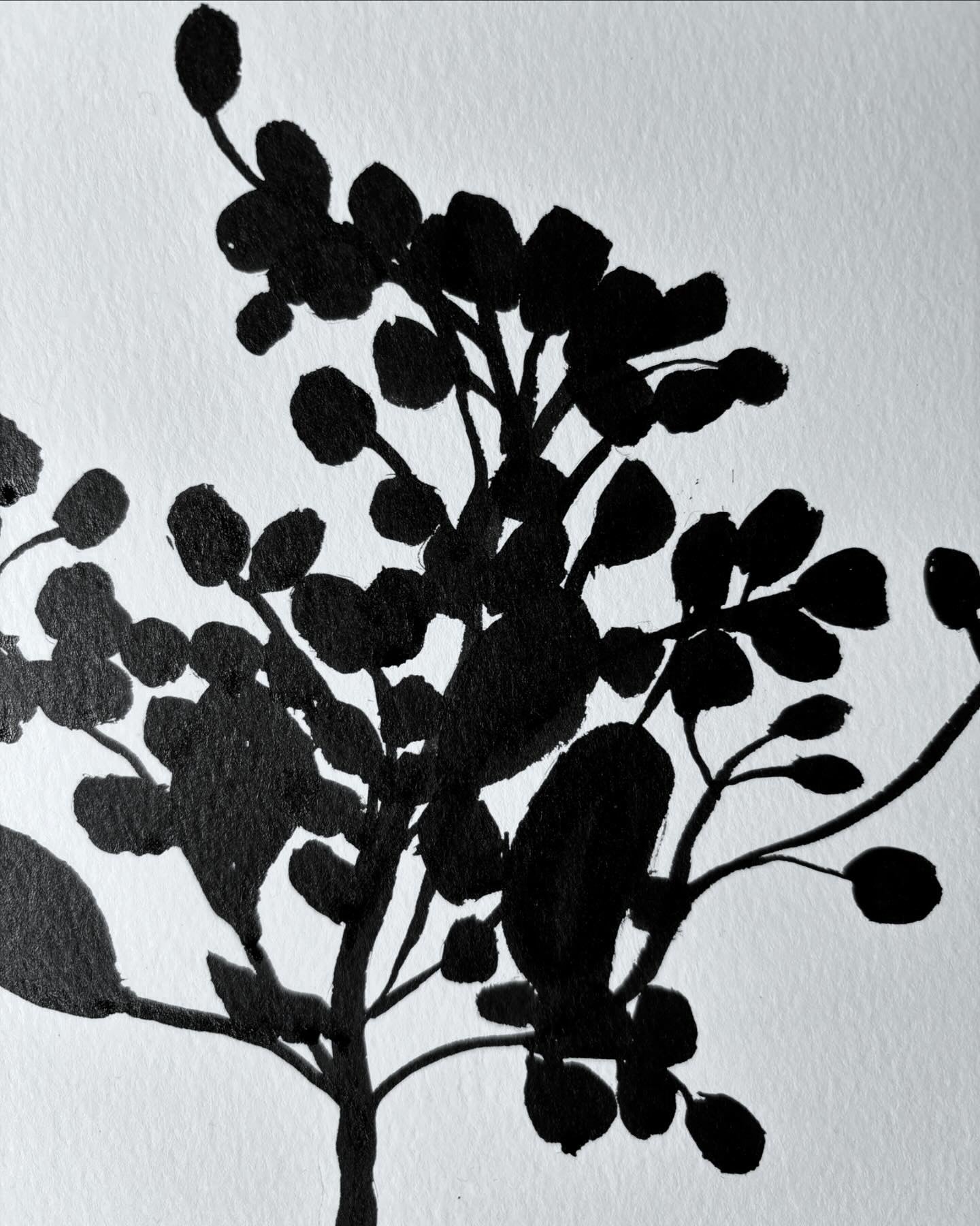 From the Wild - Botanical