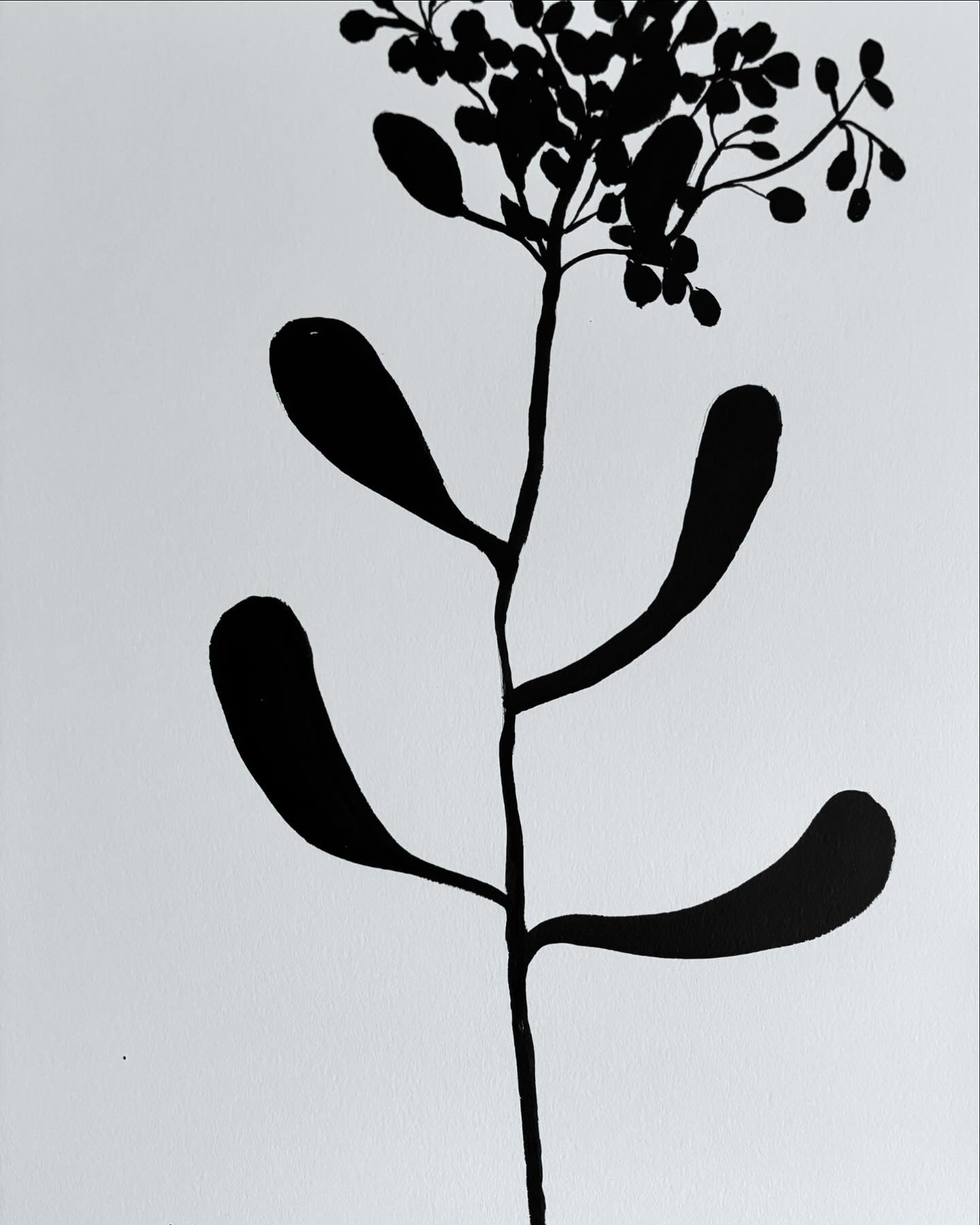From the Wild - Botanical